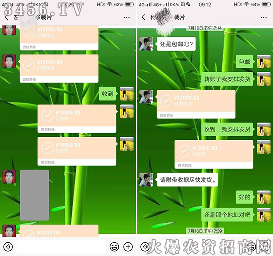 茄果秋季移栽为何要施硼肥?硼元素对作物的影响,种植户需牢记在心! 茄果秋季移栽为何要施硼肥?硼元素对作物的影响,种植户需牢记在心!