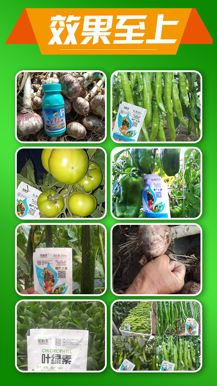 6�ĳ��мӱط����﹤�����޹�˾.jpg