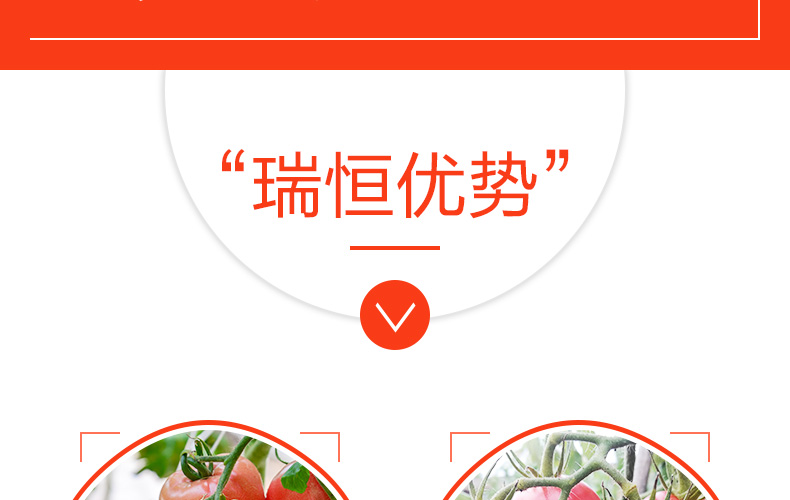 �ٹ��������ҵ���޹�˾-ҳ��_04.jpg