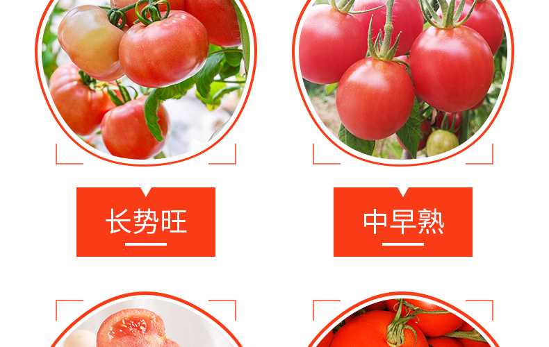 �ٹ��������ҵ���޹�˾-ҳ��_05.jpg