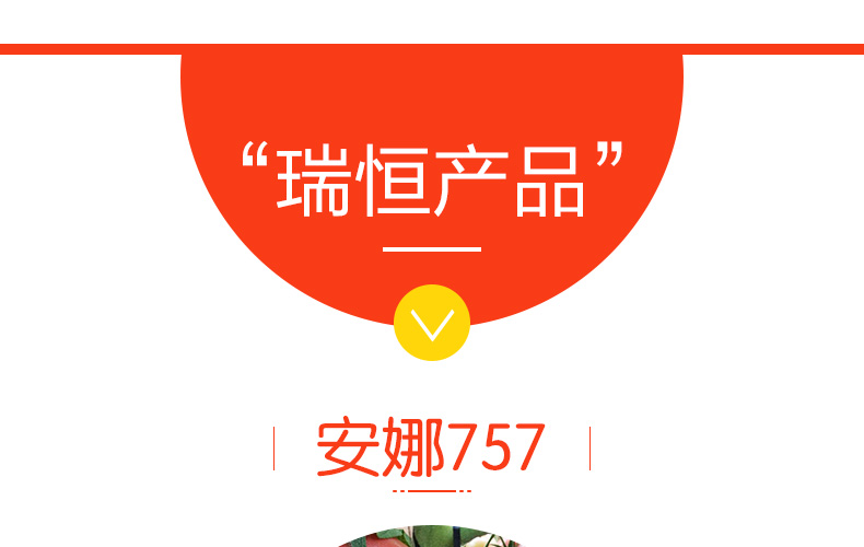 �ٹ��������ҵ���޹�˾-ҳ��_09.jpg