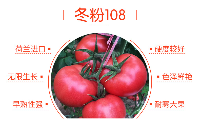 �ٹ��������ҵ���޹�˾-ҳ��_11.jpg