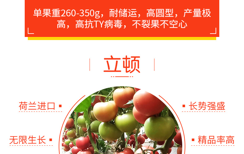 �ٹ��������ҵ���޹�˾-ҳ��_12.jpg