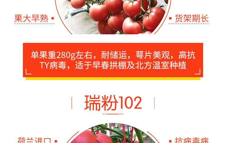 �ٹ��������ҵ���޹�˾-ҳ��_13.jpg