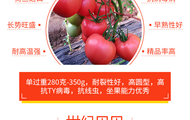 �ٹ��������ҵ���޹�˾-ҳ��_14.jpg