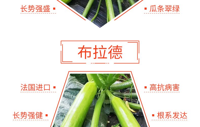 �ٹ��������ҵ���޹�˾-ҳ��_17.jpg