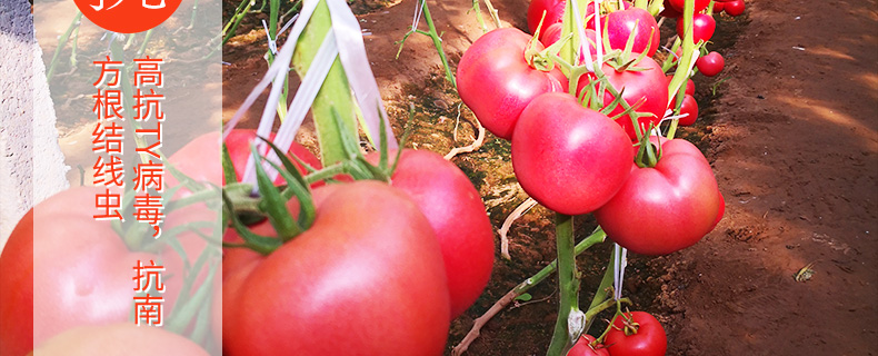 �ٹ��������ҵ���޹�˾-ҳ��_26.jpg
