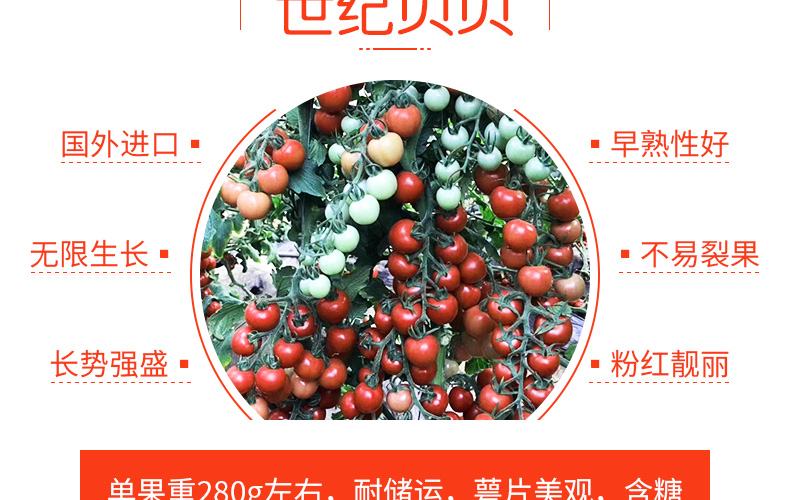 �ٹ��������ҵ���޹�˾-ҳ��_15.jpg