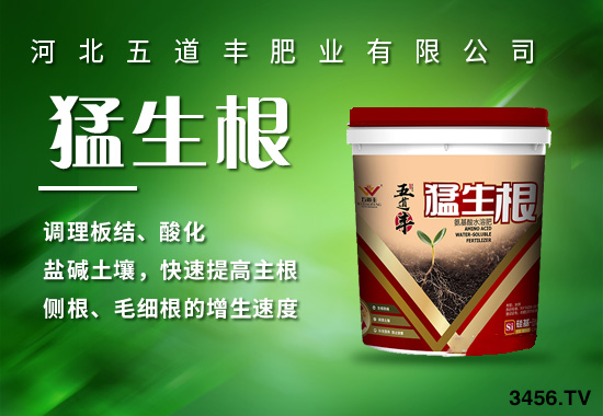氨基酸水溶肥的功效与作用有那些?为什么大家都在用? 氨基酸水溶肥的功效与作用有那些?为什么大家都在用?