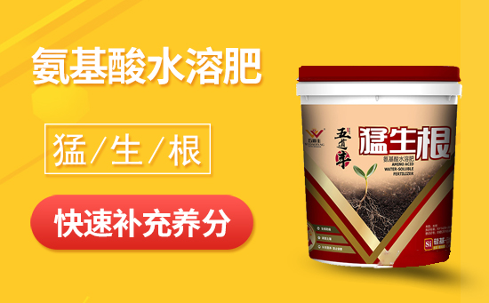 氨基酸水溶肥的功效与作用有那些?为什么大家都在用? 氨基酸水溶肥的功效与作用有那些?为什么大家都在用?