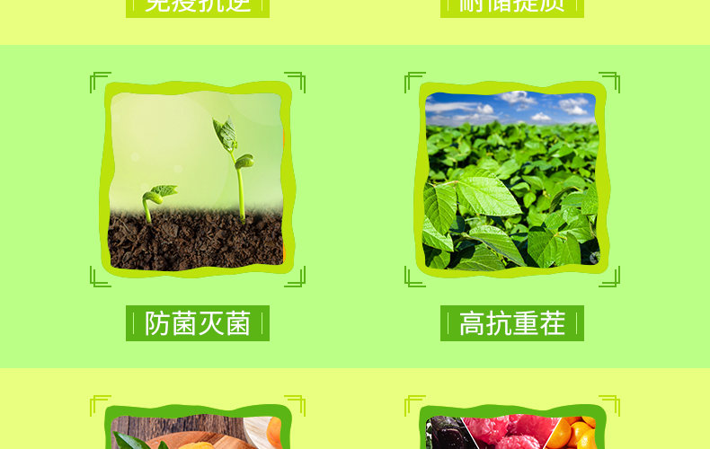 山东盛高肥业有限公司-页面_06.jpg