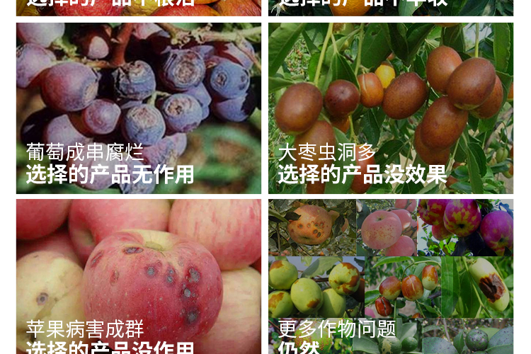 河南小巨人农业科技有限公司_04.jpg