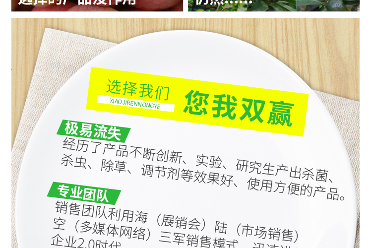 河南小巨人农业科技有限公司_05.jpg