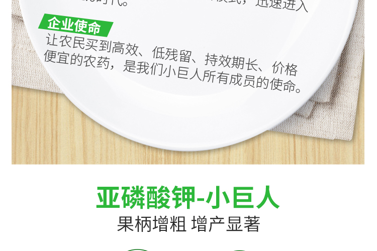 河南小巨人农业科技有限公司_06.jpg