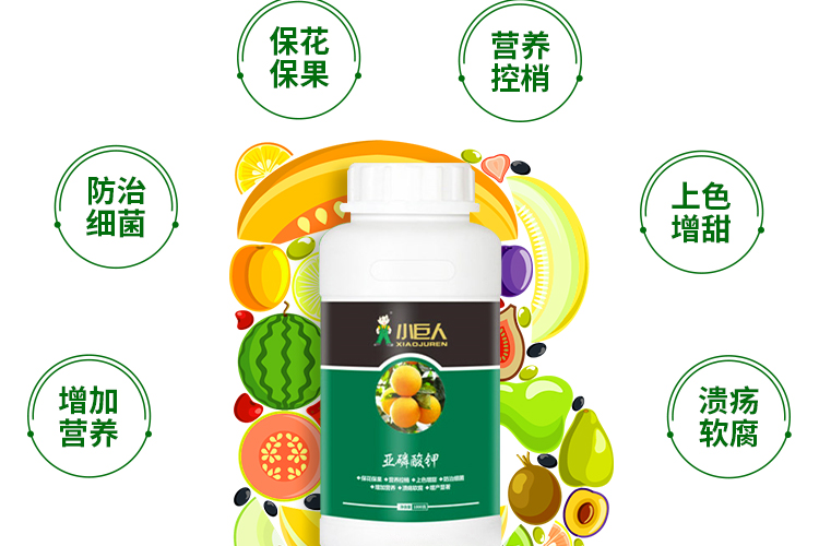 河南小巨人农业科技有限公司_07.jpg