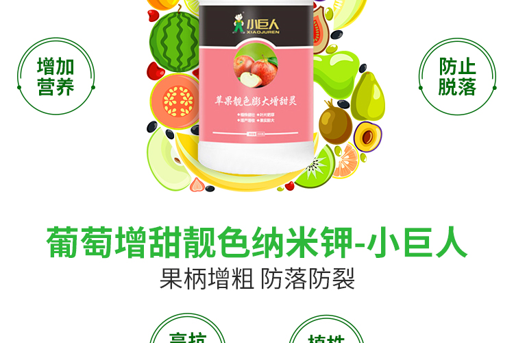 河南小巨人农业科技有限公司_09.jpg
