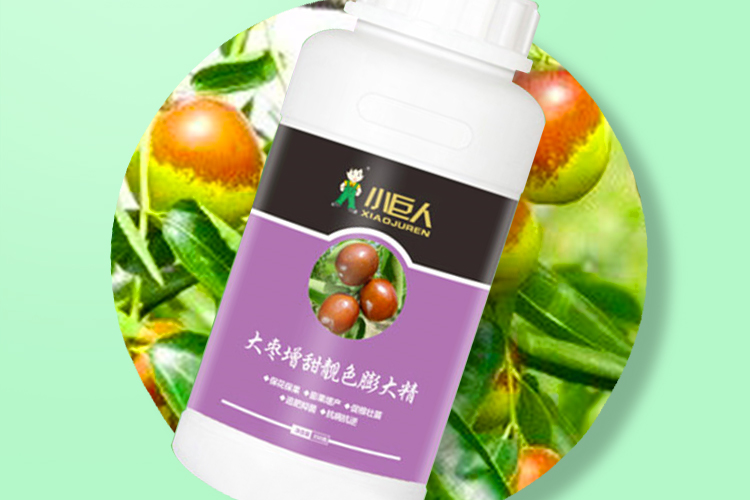 河南小巨人农业科技有限公司_12.jpg