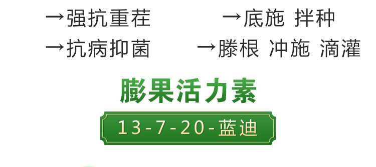 3_12.jpg