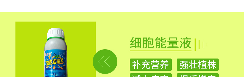 �������ֶ���ũҵ�Ƽ����޹�˾-ҳ��_15.jpg