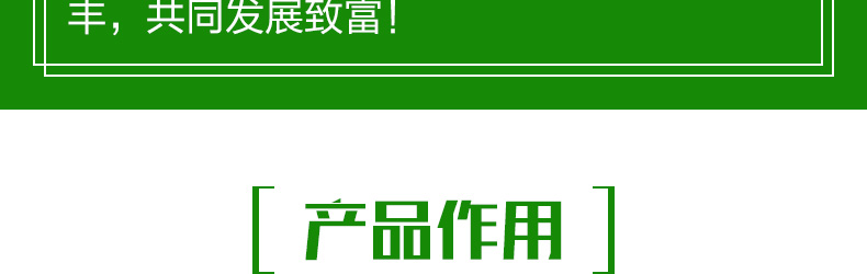 ��������ũʥ�ữ�ʳ�-ҳ��_07.jpg