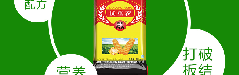 ��������ũʥ�ữ�ʳ�-ҳ��_16.jpg