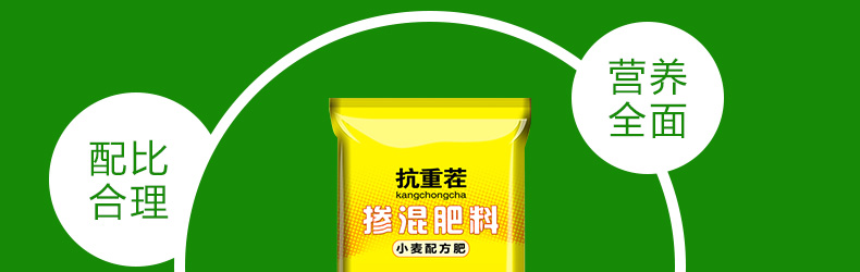 ��������ũʥ�ữ�ʳ�-ҳ��_21.jpg