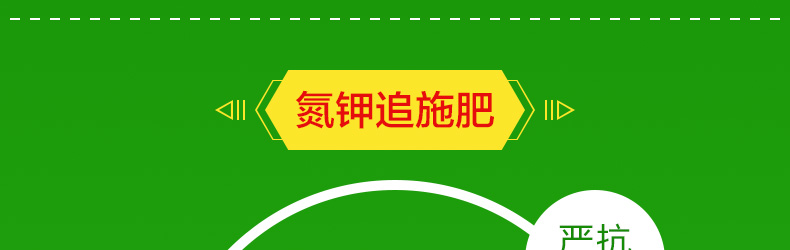 ��������ũʥ�ữ�ʳ�-ҳ��_26.jpg
