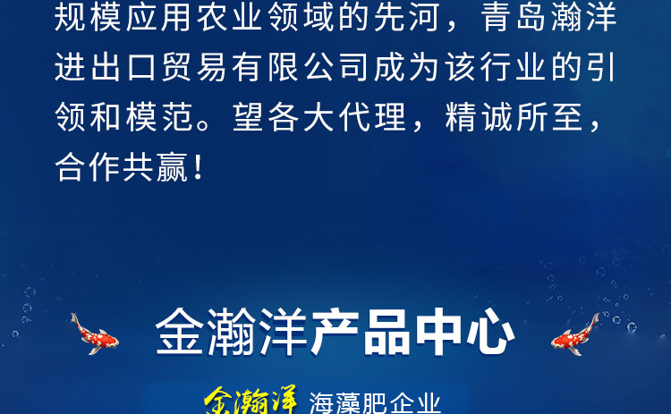 青岛金瀚洋进出口贸易有限公司_04.jpg