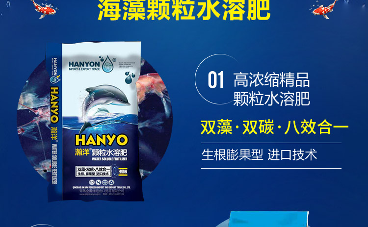 青岛金瀚洋进出口贸易有限公司_07.jpg