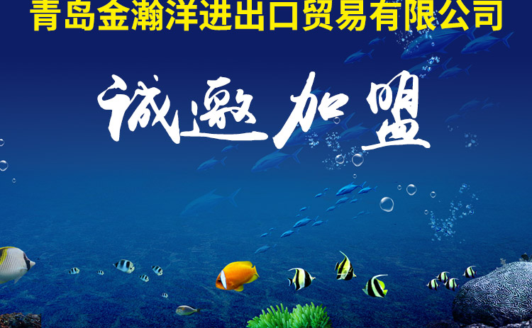青岛金瀚洋进出口贸易有限公司_16.jpg