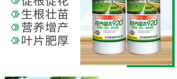 3_16.jpg