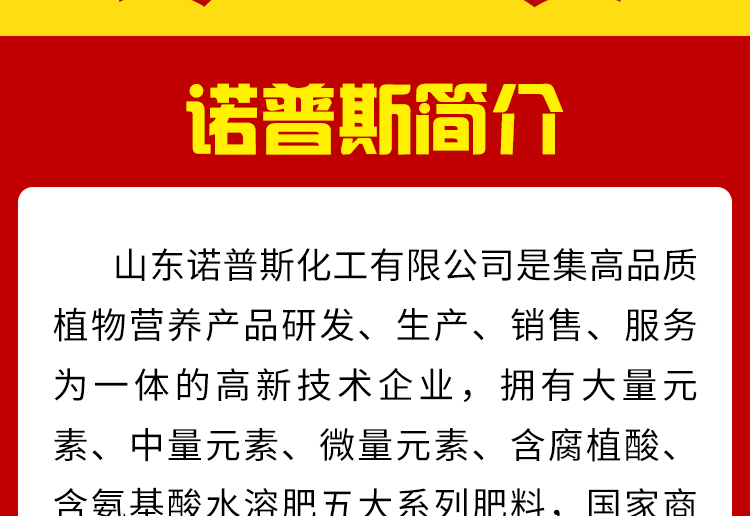 山东诺普斯化工有限公司_02.jpg