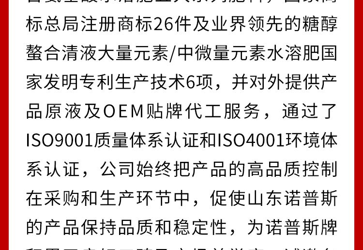 山东诺普斯化工有限公司_03.jpg