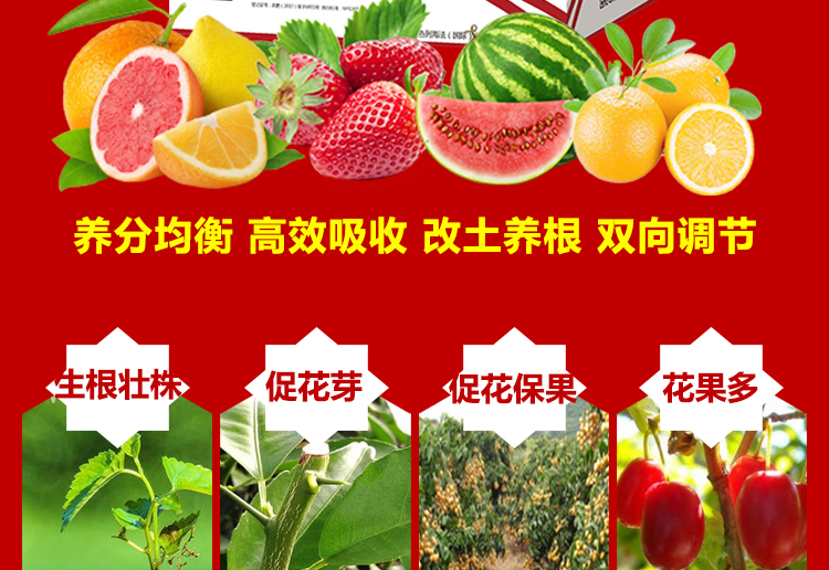 山东诺普斯化工有限公司_08.jpg