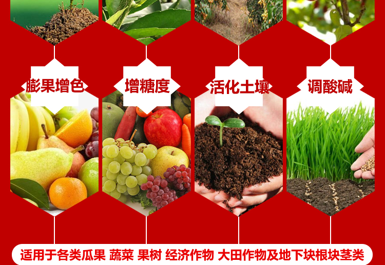 山东诺普斯化工有限公司_09.jpg
