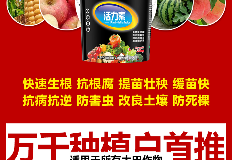 山东诺普斯化工有限公司_11.jpg