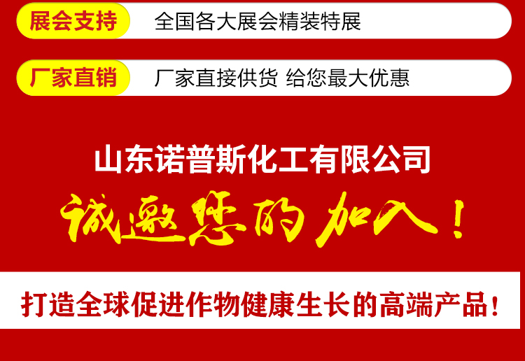 山东诺普斯化工有限公司_20.jpg
