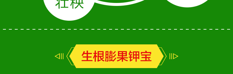 ���ϵ�Ĭ��ũҵ�Ƽ����޹�˾-ҳ��_20.jpg