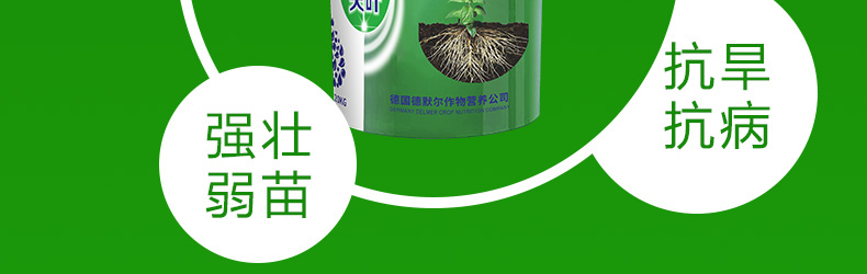 ���ϵ�Ĭ��ũҵ�Ƽ����޹�˾-ҳ��_25.jpg