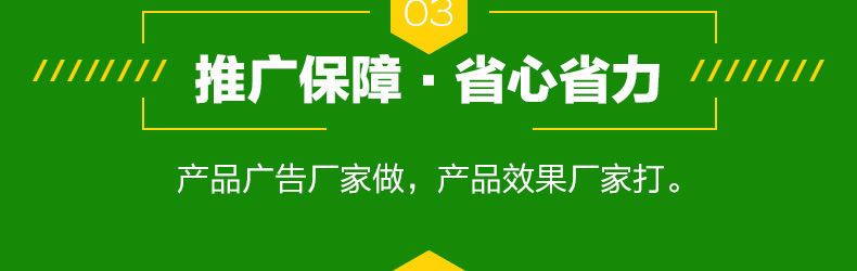 ���ϵ�Ĭ��ũҵ�Ƽ����޹�˾-ҳ��_38.jpg