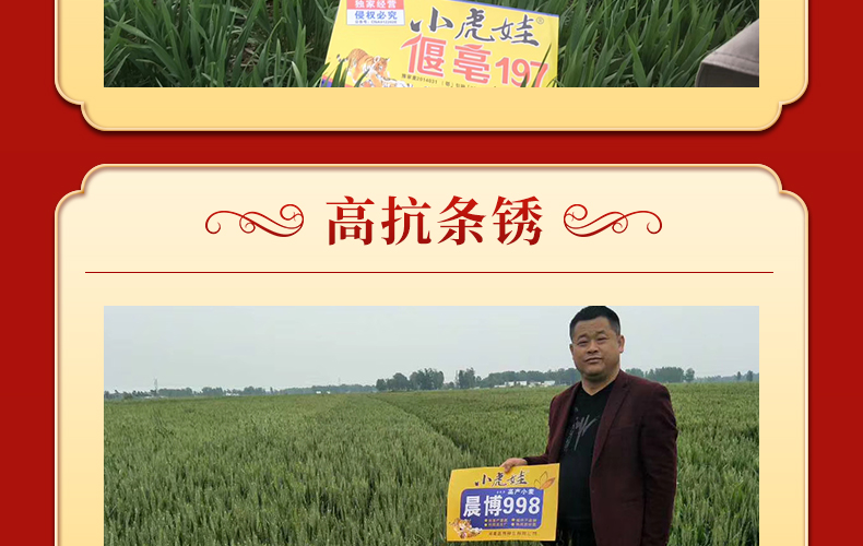 河南晨博种业有限公司-页面_06.jpg