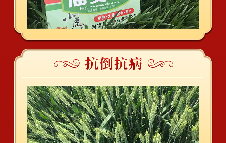 河南晨博种业有限公司-页面_08.jpg