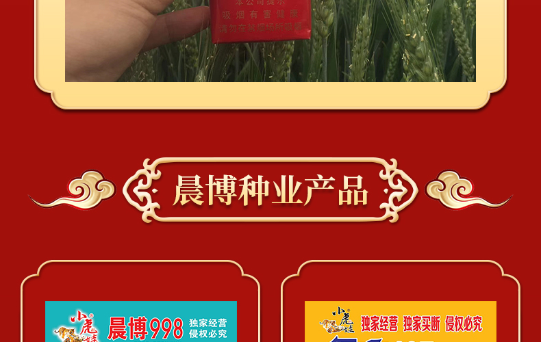 河南晨博种业有限公司-页面_10.jpg