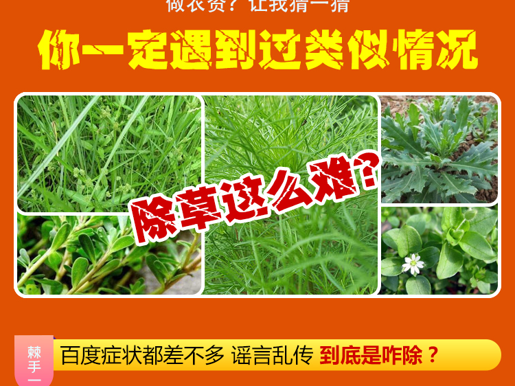 河南联扬瀚邦农业科技有限公司_04.jpg