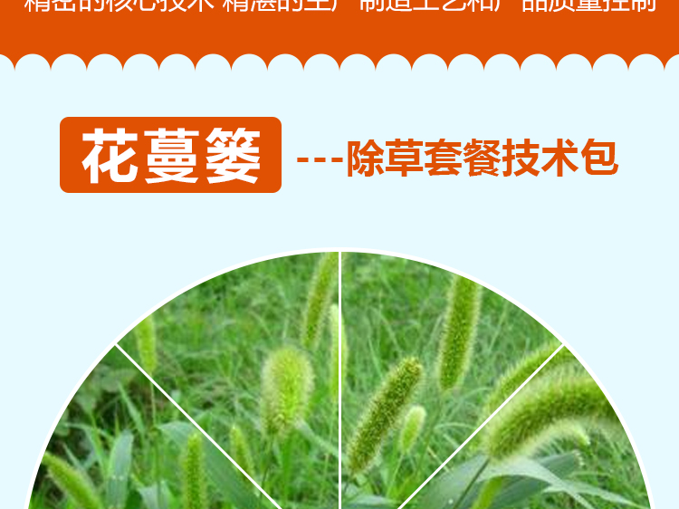 河南联扬瀚邦农业科技有限公司_07.jpg