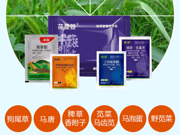 河南联扬瀚邦农业科技有限公司_08.jpg