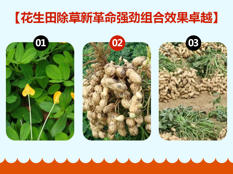 河南联扬瀚邦农业科技有限公司_09.jpg