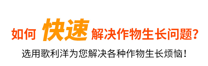 河南歌利洋肥业有限公�?页面_03.jpg