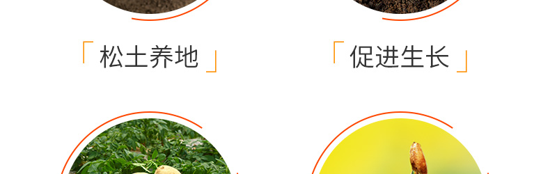 河南歌利洋肥业有限公�?页面_11.jpg