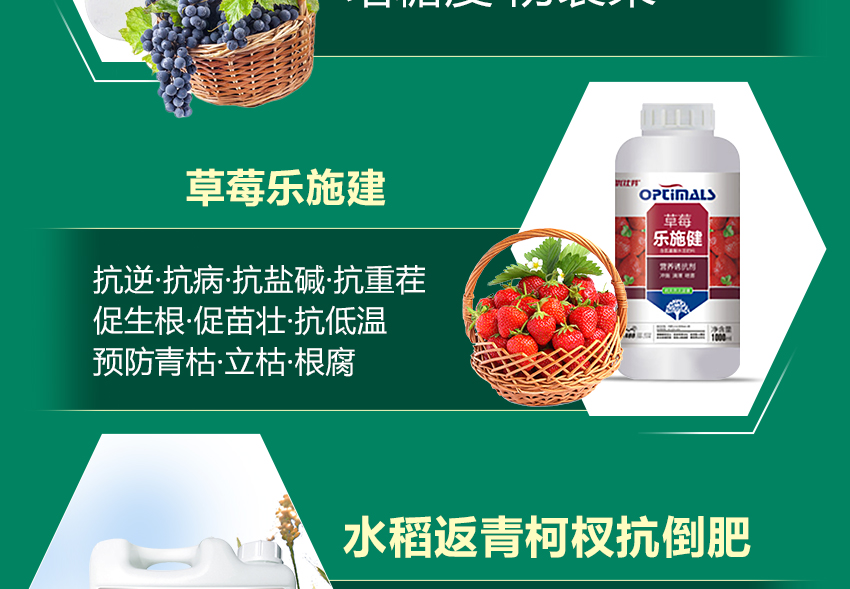 河南省中裕科技有限公司_09.jpg